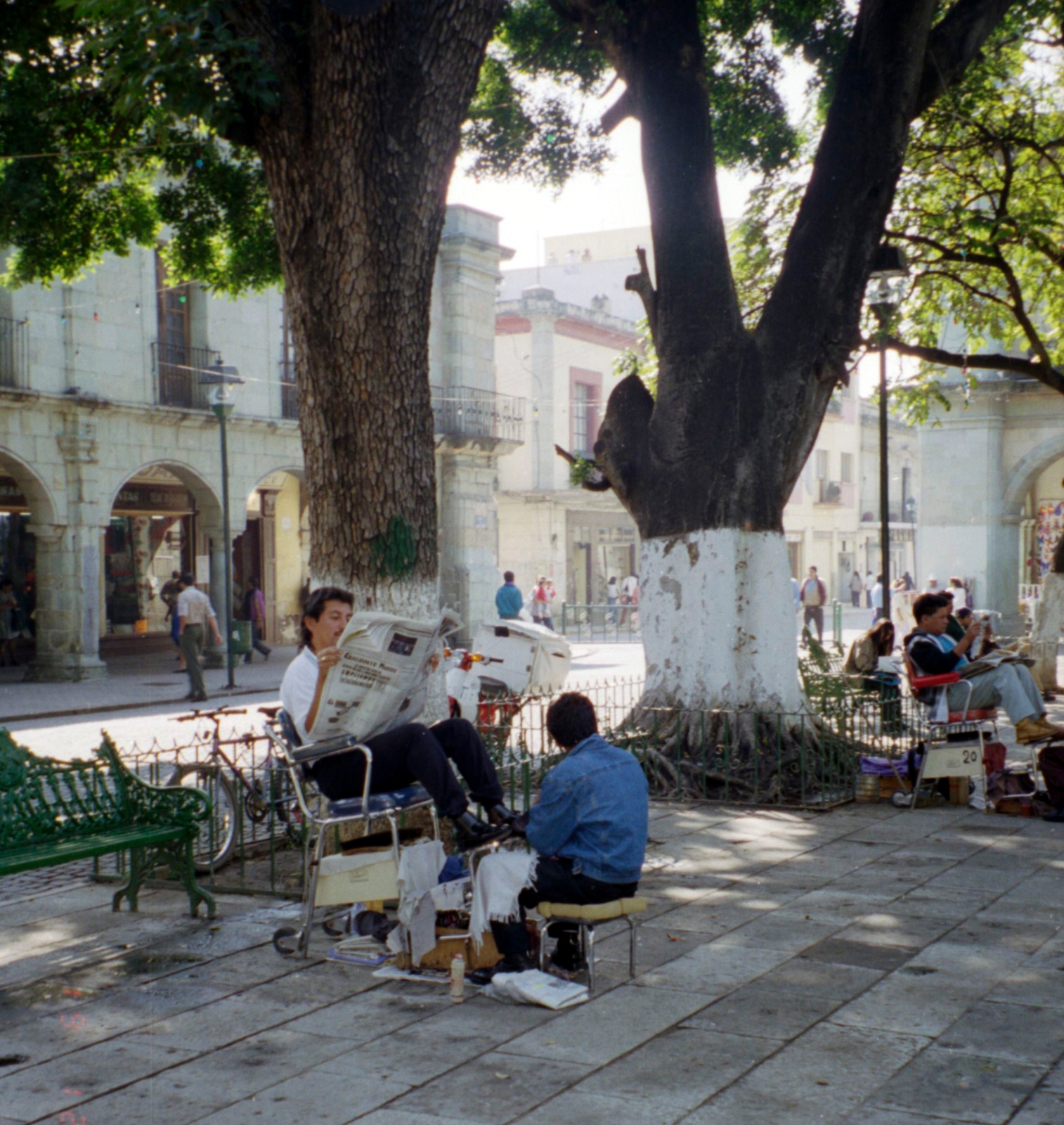 Oaxaca zocolo